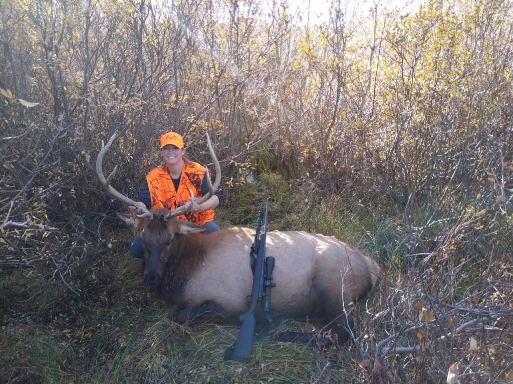 Wyoming Elk Hunting